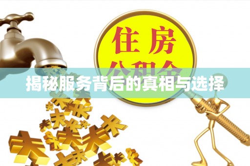南开揭秘服务背后的真相与选择
