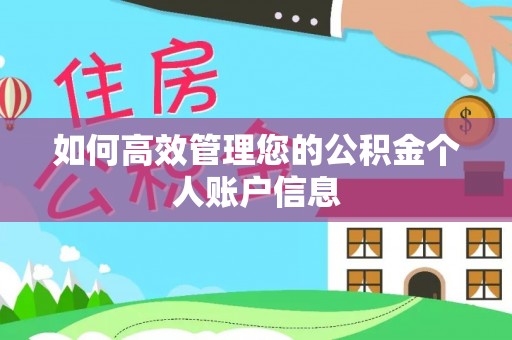 南开如何高效管理您的公积金个人账户信息