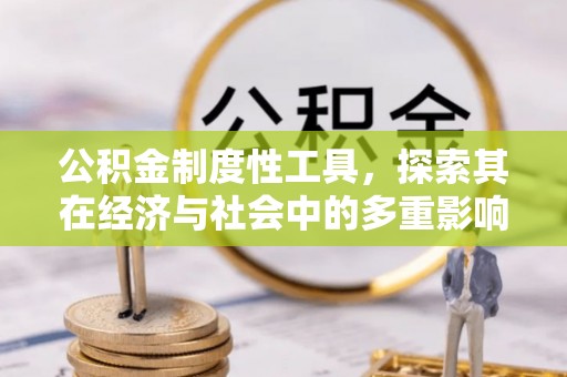 南开公积金制度性工具，探索其在经济与社会中的多重影响