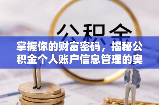 南开掌握你的财富密码，揭秘公积金个人账户信息管理的奥秘