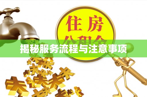 南开揭秘服务流程与注意事项