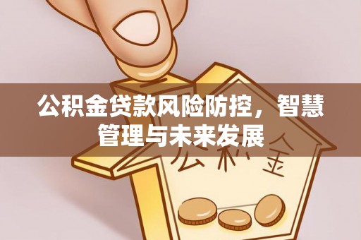 南开公积金贷款风险防控，智慧管理与未来发展