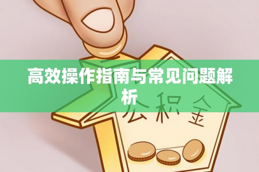 南开高效操作指南与常见问题解析