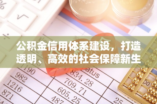 南开公积金信用体系建设，打造透明、高效的社会保障新生态