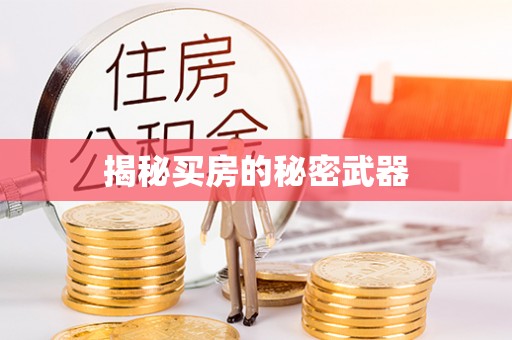 南开揭秘买房的秘密武器