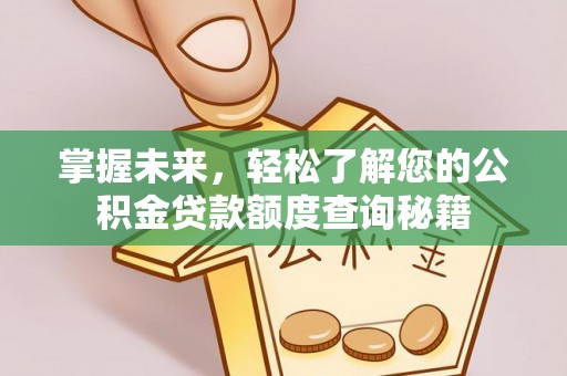南开掌握未来，轻松了解您的公积金贷款额度查询秘籍