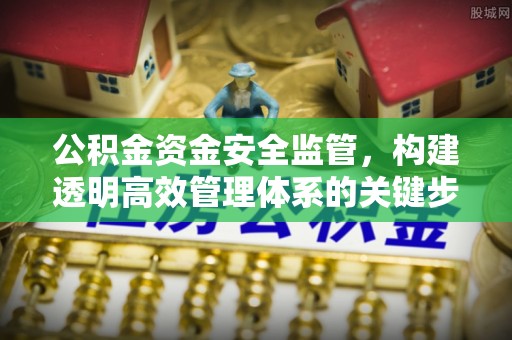 南开公积金资金安全监管，构建透明高效管理体系的关键步骤