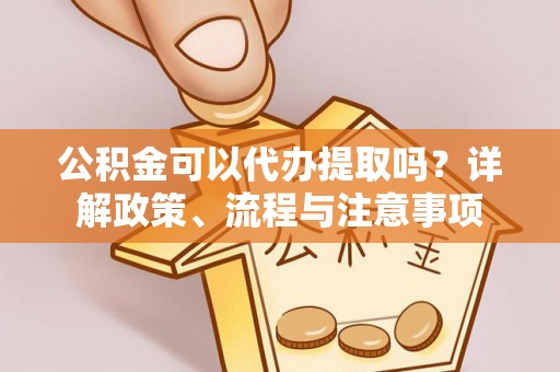 南开公积金可以代办提取吗？详解政策、流程与注意事项