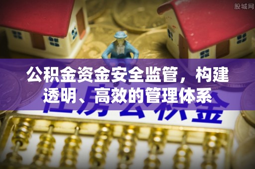 南开公积金资金安全监管，构建透明、高效的管理体系