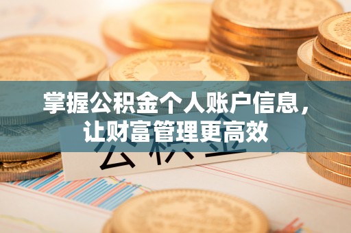 南开掌握公积金个人账户信息，让财富管理更高效