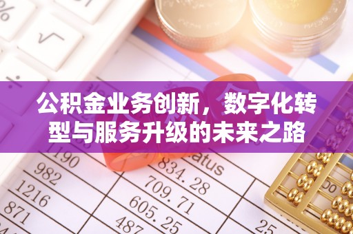 南开公积金业务创新，数字化转型与服务升级的未来之路