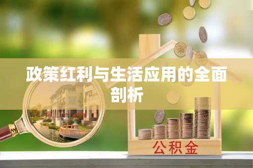 南开政策红利与生活应用的全面剖析