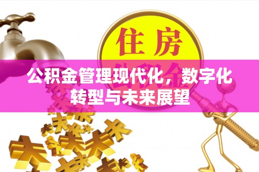 南开公积金管理现代化，数字化转型与未来展望