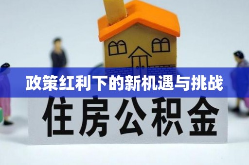南开政策红利下的新机遇与挑战