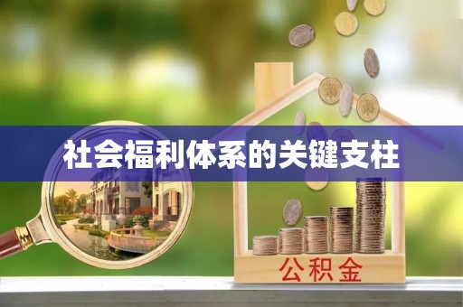 南开社会福利体系的关键支柱