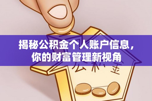 南开揭秘公积金个人账户信息，你的财富管理新视角