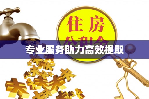 南开专业服务助力高效提取