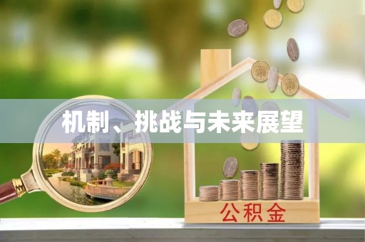 南开机制、挑战与未来展望