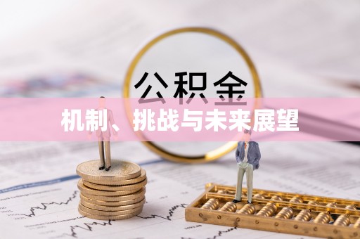 南开机制、挑战与未来展望